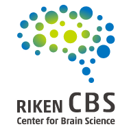Center for brain science logo