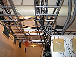 IMG_7200.JPG
