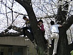 IMG_7383.JPG