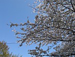 IMG_7419.JPG
