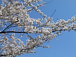 IMG_7421.JPG