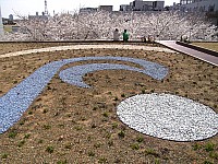 06_03_31_12_53.jpg