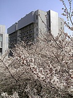 06_03_31_12_54.jpg