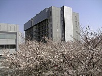 06_03_31_12_541.jpg