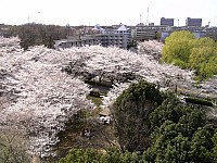 06_03_31_12_59.jpg