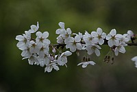 be6b6991.jpg