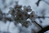 be6b6992.jpg