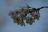be6b7020.jpg