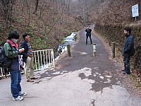IMG_5599.JPG