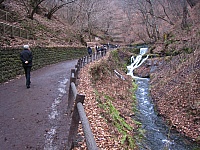 IMG_5601.JPG