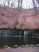 IMG_5603.JPG