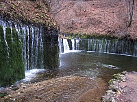 IMG_5604.JPG