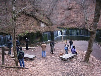 IMG_5608.JPG