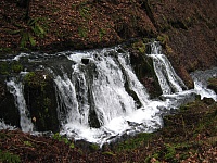 IMG_5609.JPG