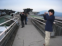 IMG_5611.JPG