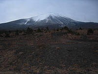 IMG_5622.JPG